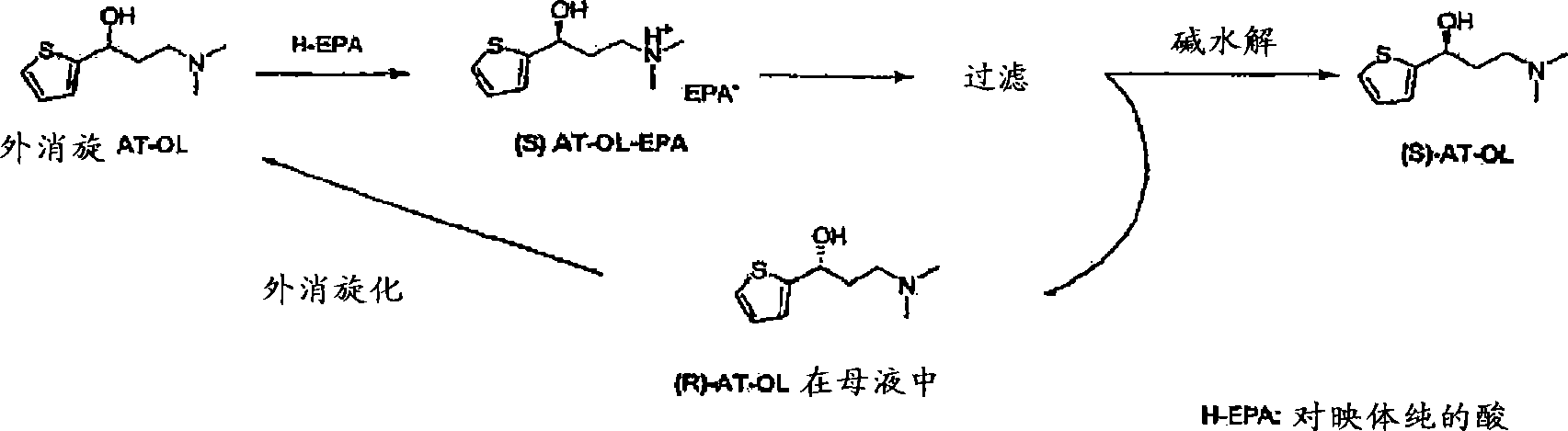 Process for the preparation of (s)-(-)-n,n-dimethyl-3-(2-thienyl)-3-hydroxypropanamine, a duloxetine intermediate