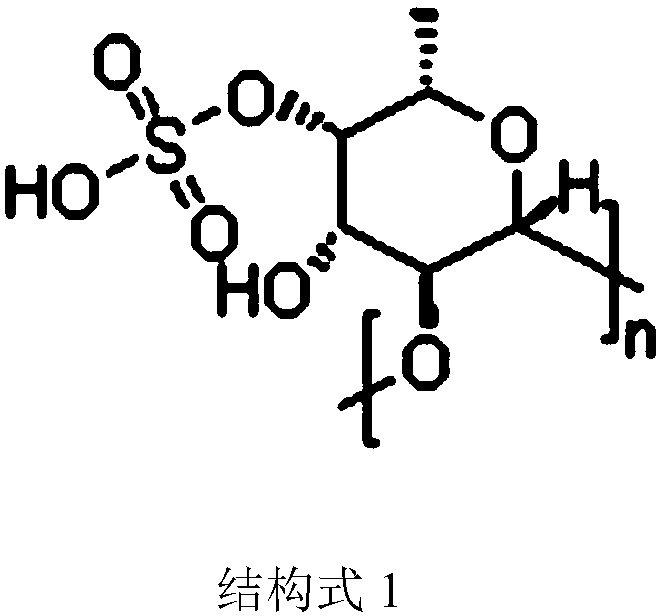 Preparation method of solid dispersant containing fucoidin and curcumin and application thereof