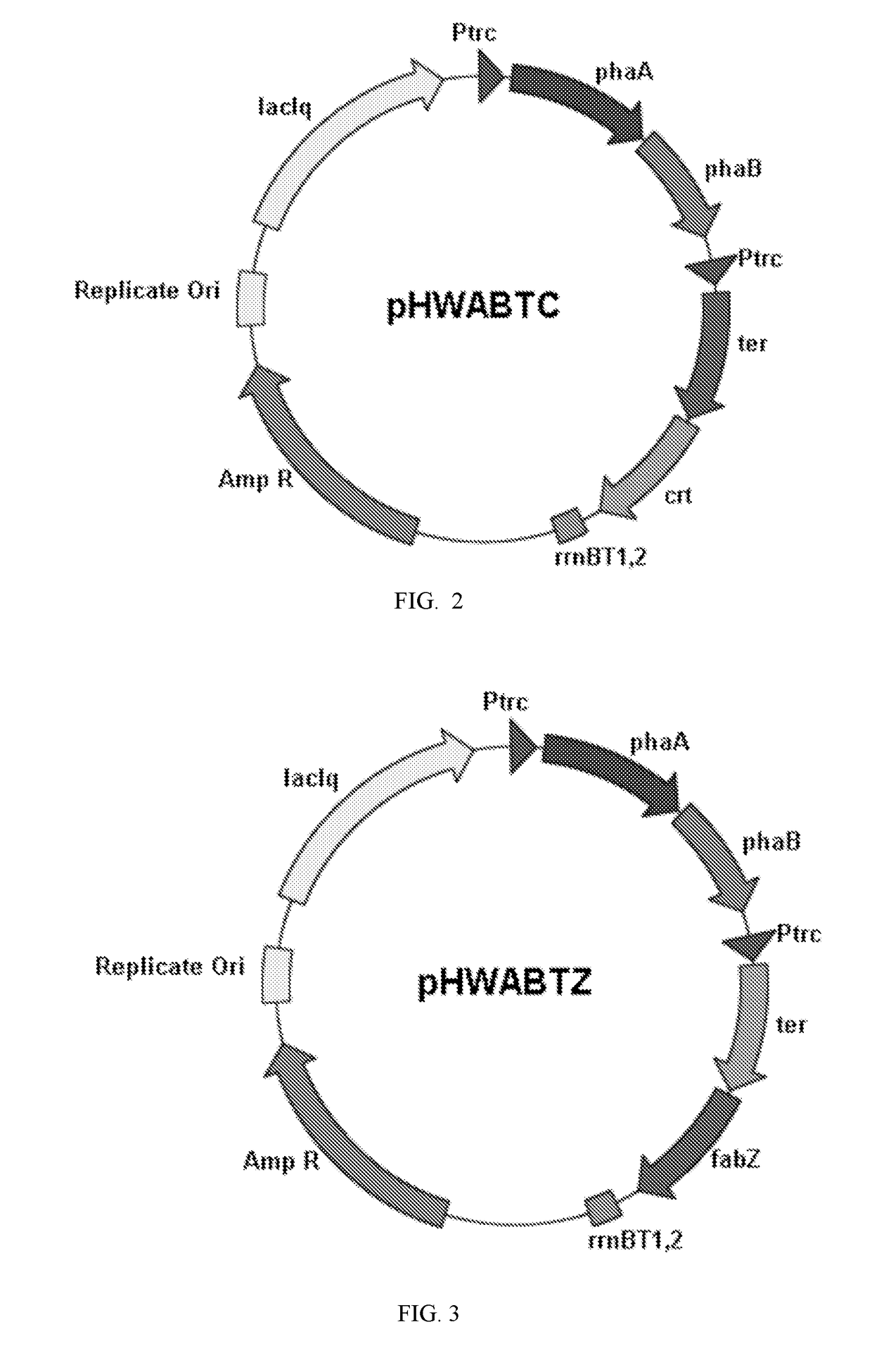 Kas-iii free fa synthesis