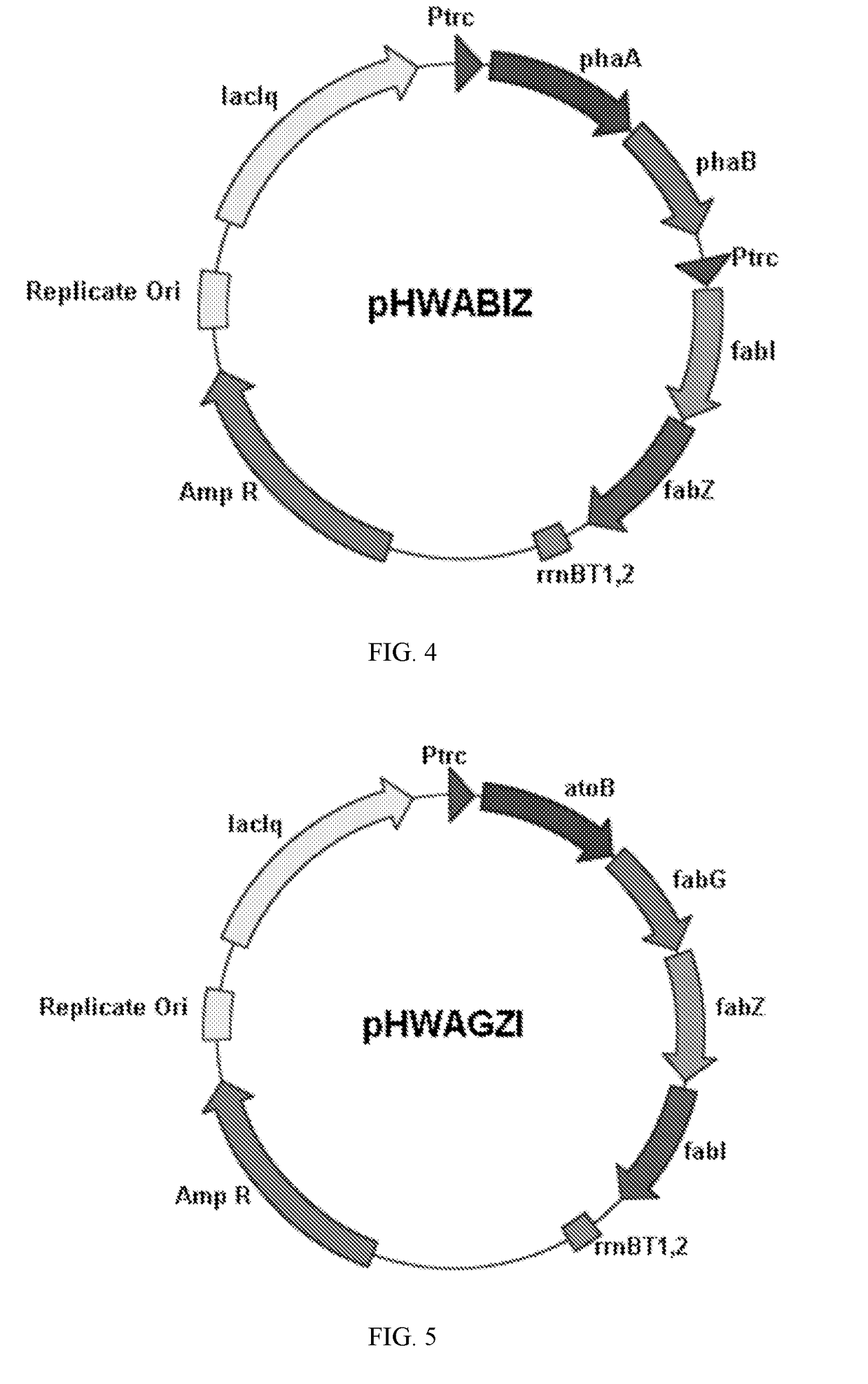 Kas-iii free fa synthesis