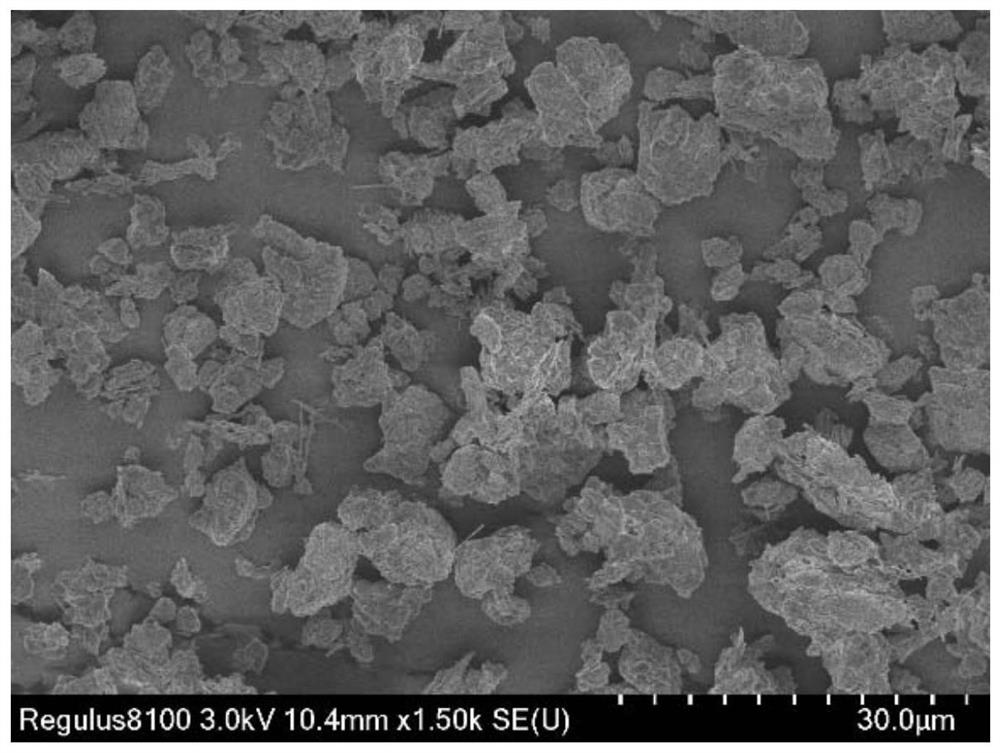 Red tide algae algicide based on ferroferric oxide activated persulfate and application of red tide algae algicide