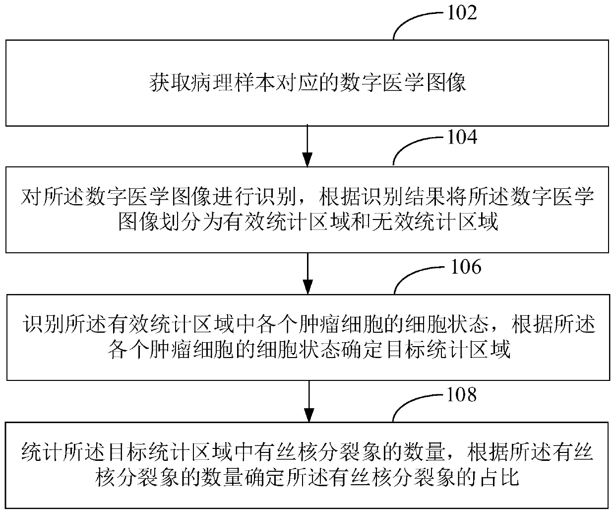 Digital pathological section mitotic image statistical method, device, equipment and medium