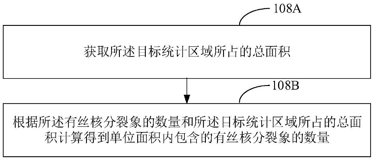 Digital pathological section mitotic image statistical method, device, equipment and medium