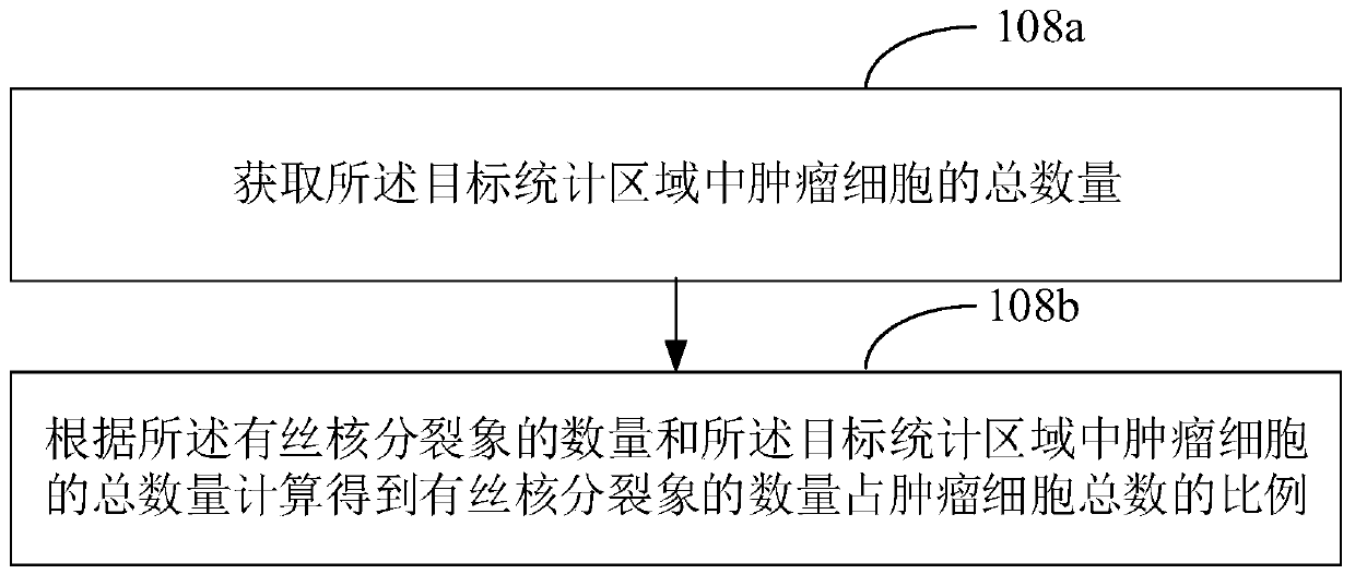 Digital pathological section mitotic image statistical method, device, equipment and medium