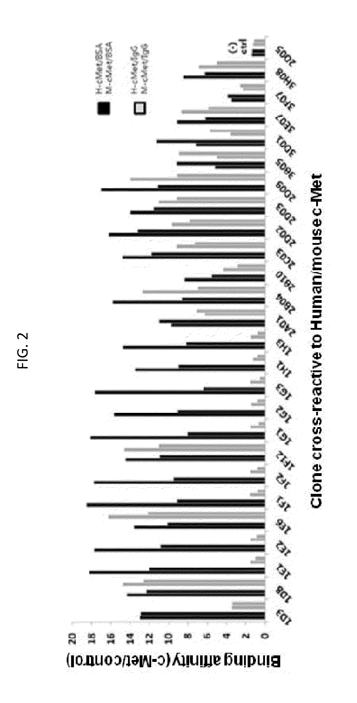 ANTIBODIES CROSS-REACTIVE TO HUMAN AND MOUSE c-Met AND USES THEREOF