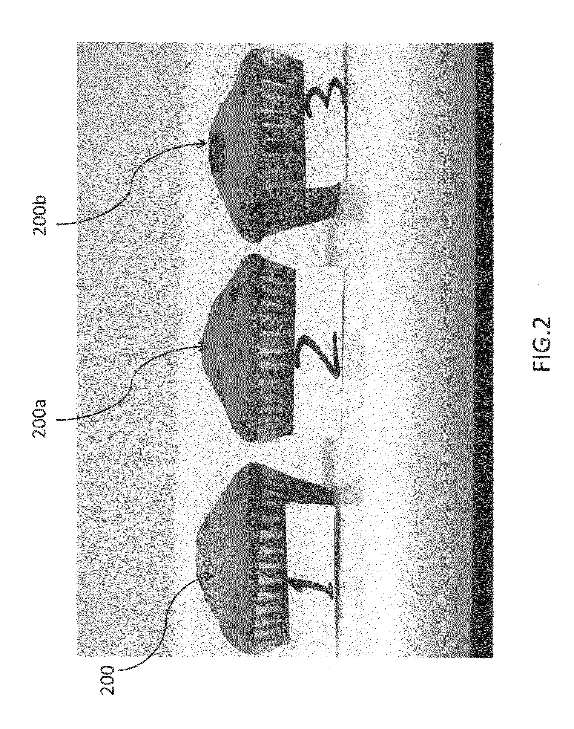 Egg substitute and method of producing same