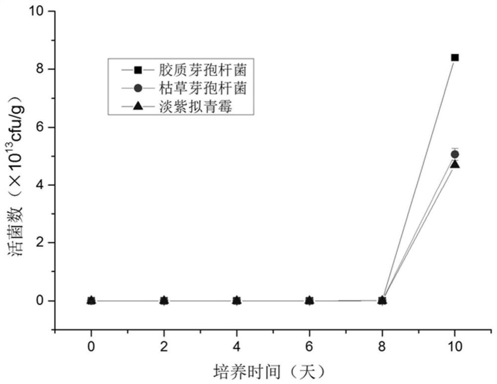 A kind of method that utilizes tobacco leaf residue to prepare biological bacterial fertilizer