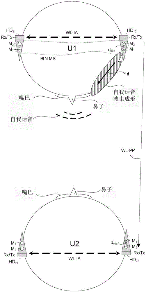 A peer to peer hearing system