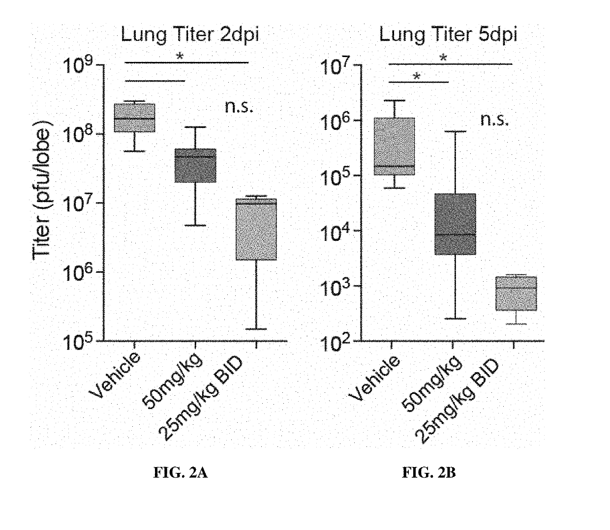 Methods for treating arenaviridae and coronaviridae virus infections