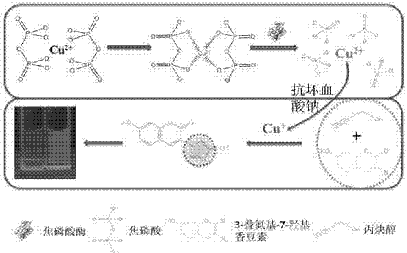 Fluorescence sensor for detecting pyrophosphatase and preparation method thereof