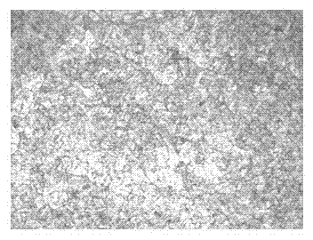 Production method of tempered high-strength Q550E super-thick steel plate