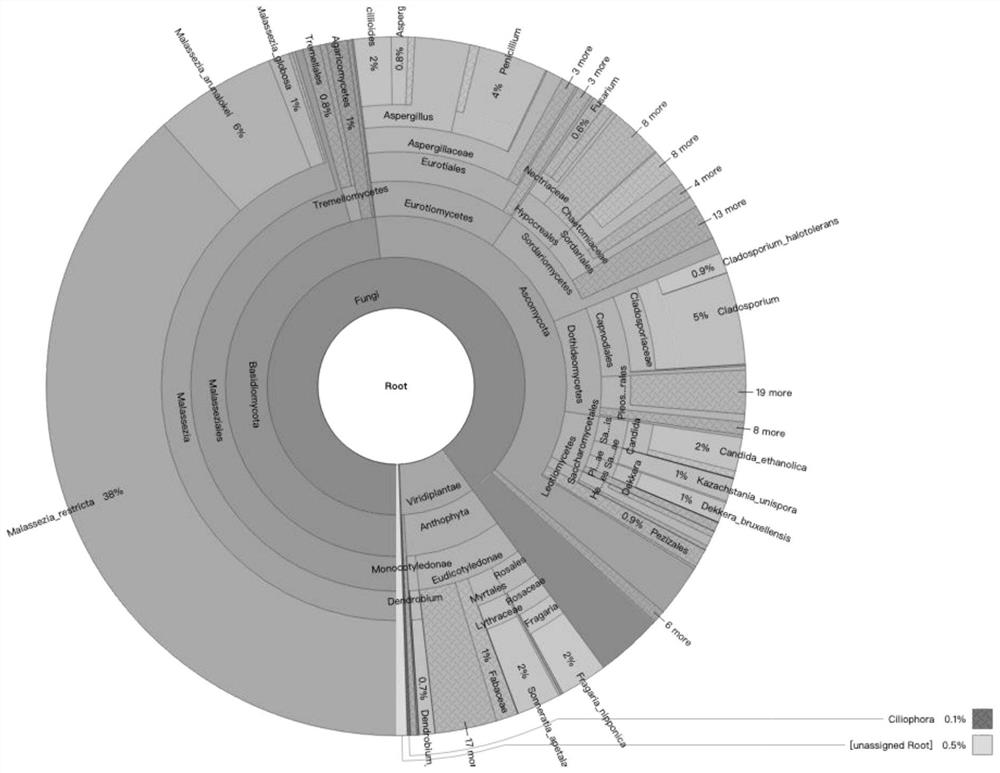 Facial skin surface microorganism sampling method based on metagenomics and application