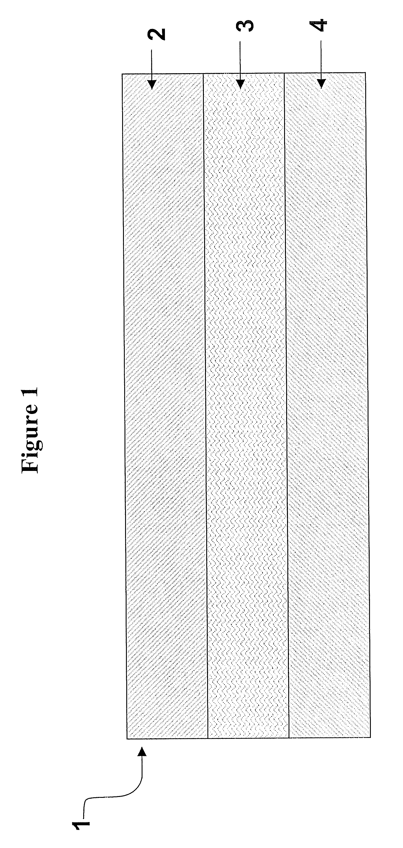 Multilaminate backing construction