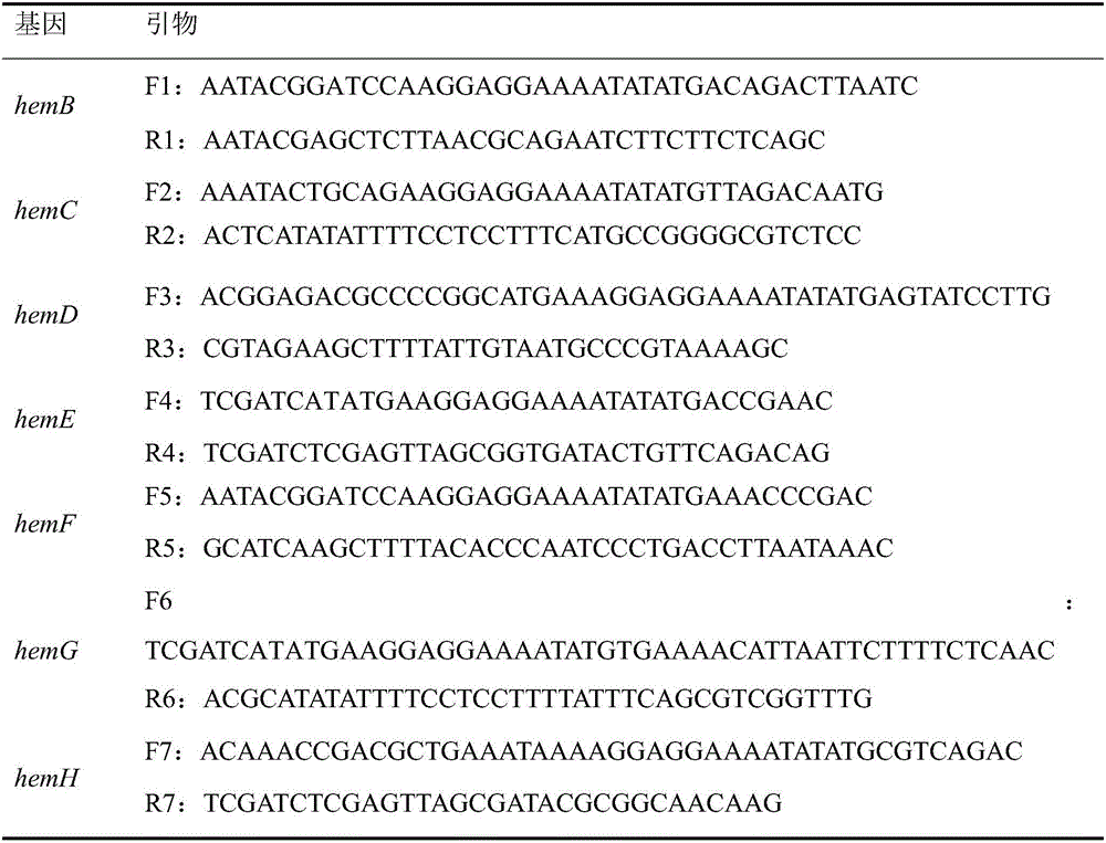 Method for increasing heme synthesized from escherichia coli