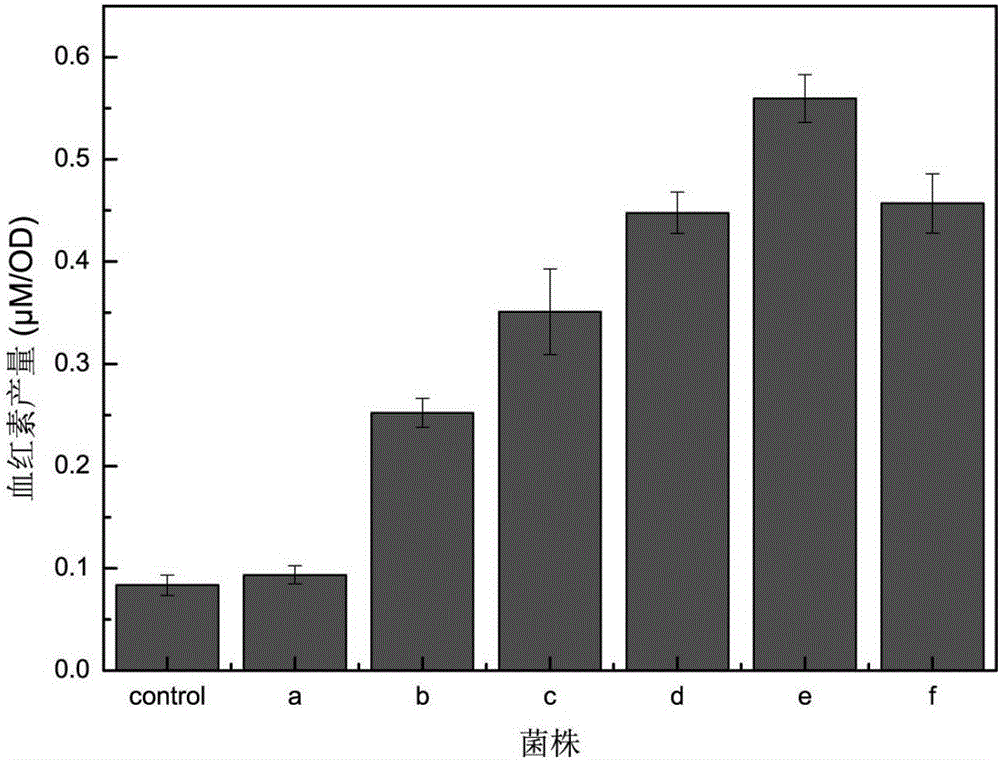 Method for increasing heme synthesized from escherichia coli