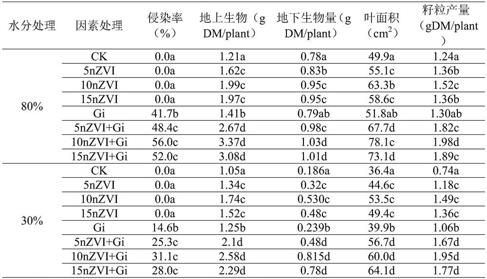 Application and method for water conservation and yield increase of dry land wheat through cooperation of nano elemental iron and arbuscular mycorrhizal fungi