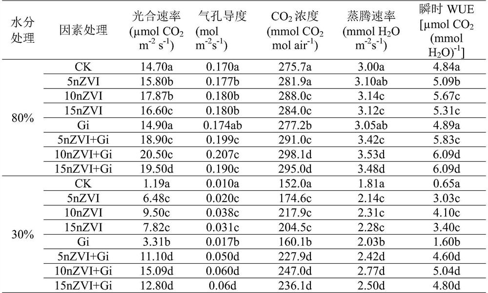 Application and method for water conservation and yield increase of dry land wheat through cooperation of nano elemental iron and arbuscular mycorrhizal fungi