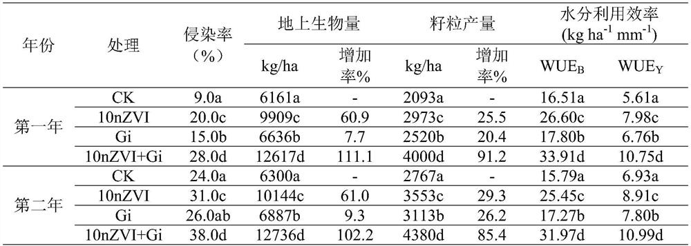 Application and method for water conservation and yield increase of dry land wheat through cooperation of nano elemental iron and arbuscular mycorrhizal fungi