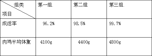 Special feed for broiler chicken growing for 76-120 days