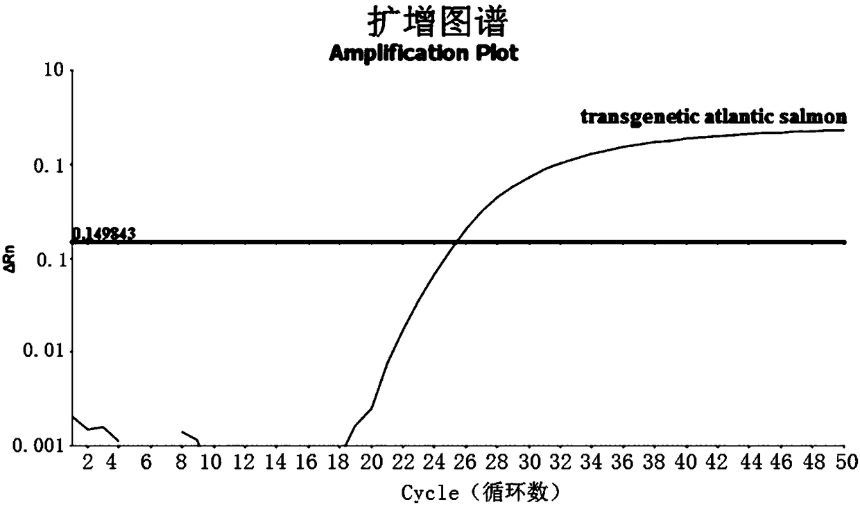 Detection method for detecting exogenous gene components of transgenic salmon in animal products by real-time fluorescence quantitative PCR technology