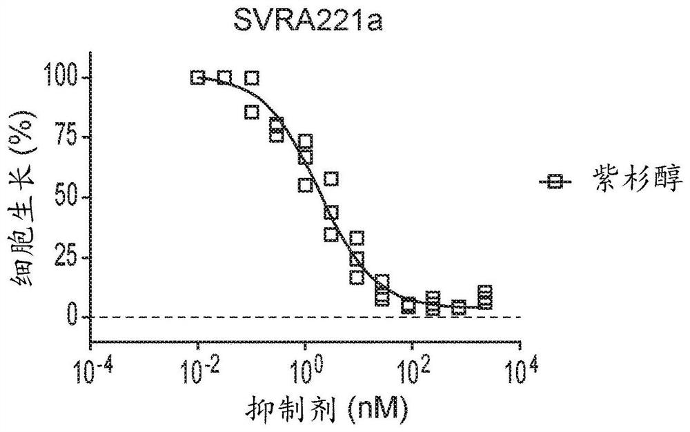 Therapeutic combinations of orally administered paclitaxel and a p-gp inhibitor for the treatment of angiosarcoma