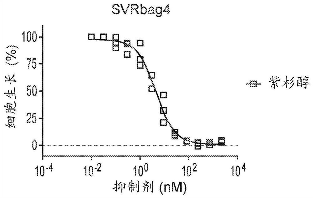 Therapeutic combinations of orally administered paclitaxel and a p-gp inhibitor for the treatment of angiosarcoma