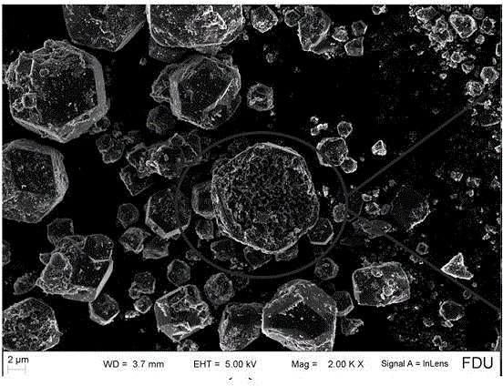 Preparation and application of magnetic ferric oxide/ammonium phosphomolybdate porous composite material