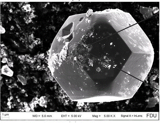 Preparation and application of magnetic ferric oxide/ammonium phosphomolybdate porous composite material