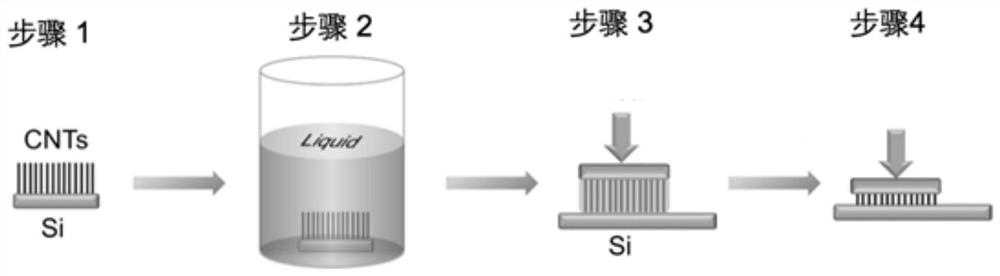 Adhesion method for improving adhesion performance of carbon nanotube dry glue