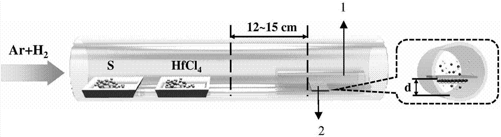 Preparation method for HfS2 signal crystal nanosheet