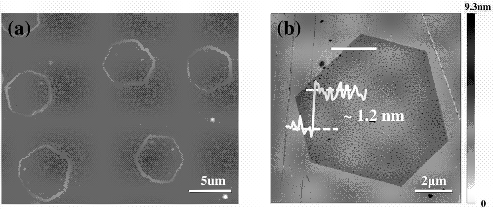 Preparation method for HfS2 signal crystal nanosheet