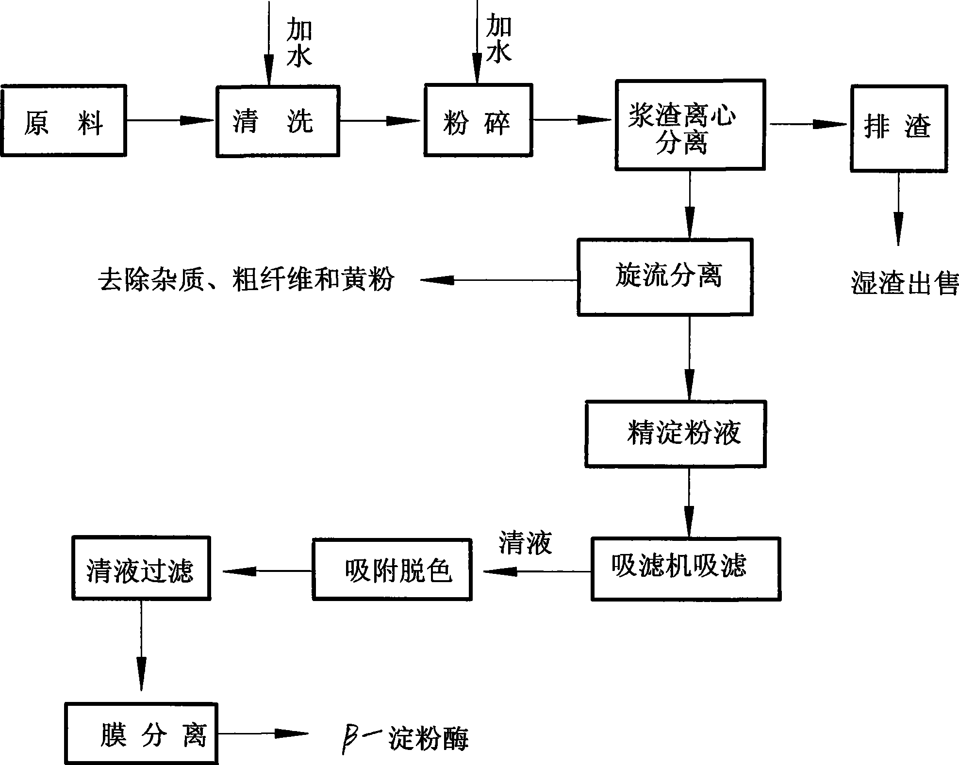 Method for extracting beta-amylase from potato cell tissue