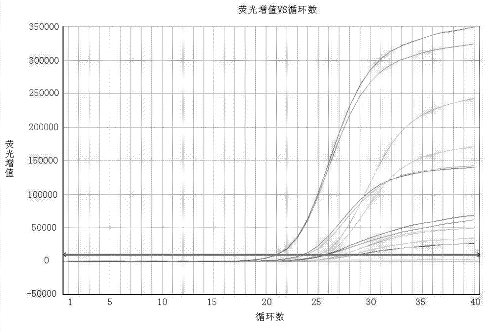 Human enterovirus four-color fluorescence RT-PCR detection kit and detection method