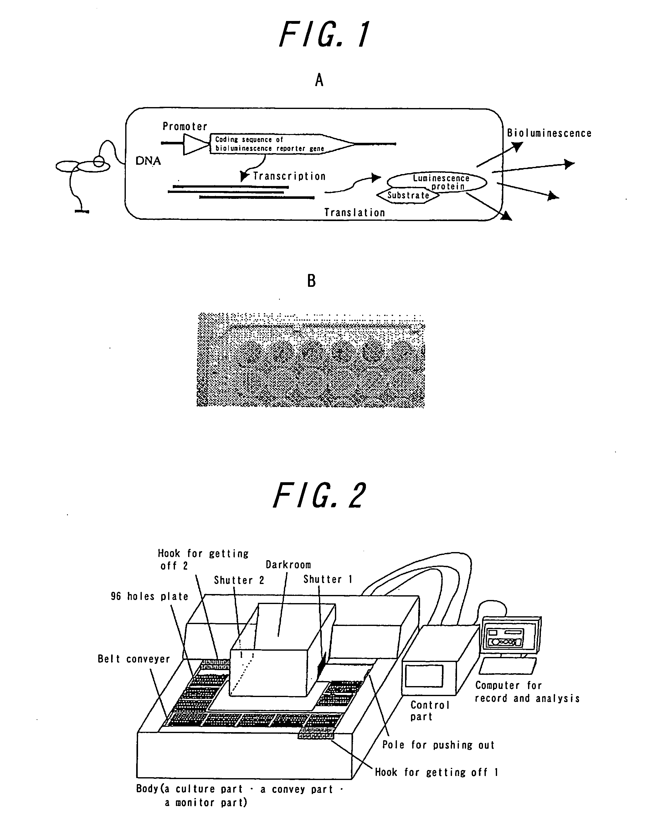 Apparatus for monitoring bioluminescence of biological samples