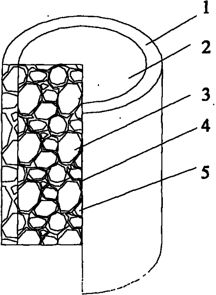 Galvanizing carbon fiber foamed light metal and preparation method thereof