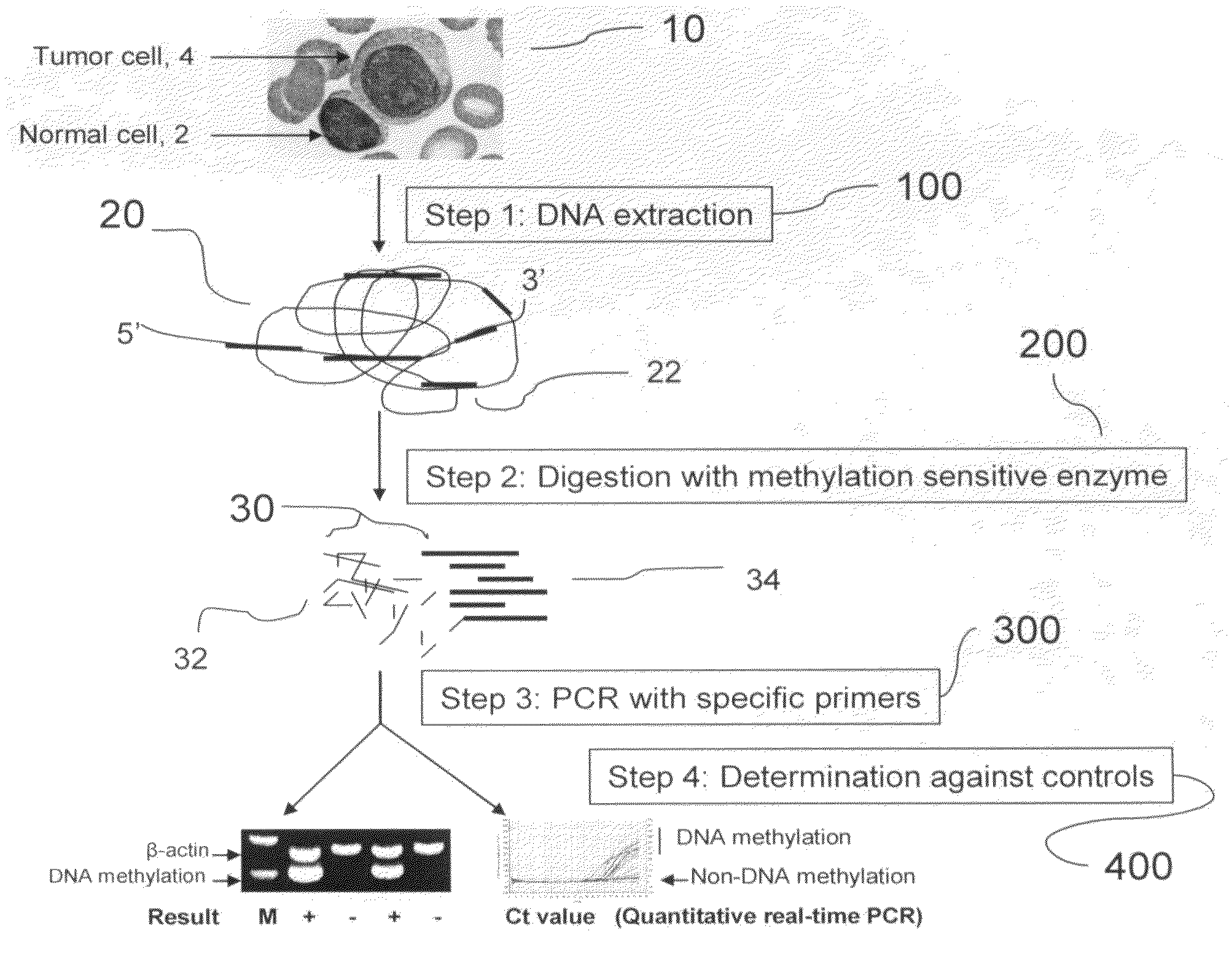 Method for detecting DNA methylation in cancer cells