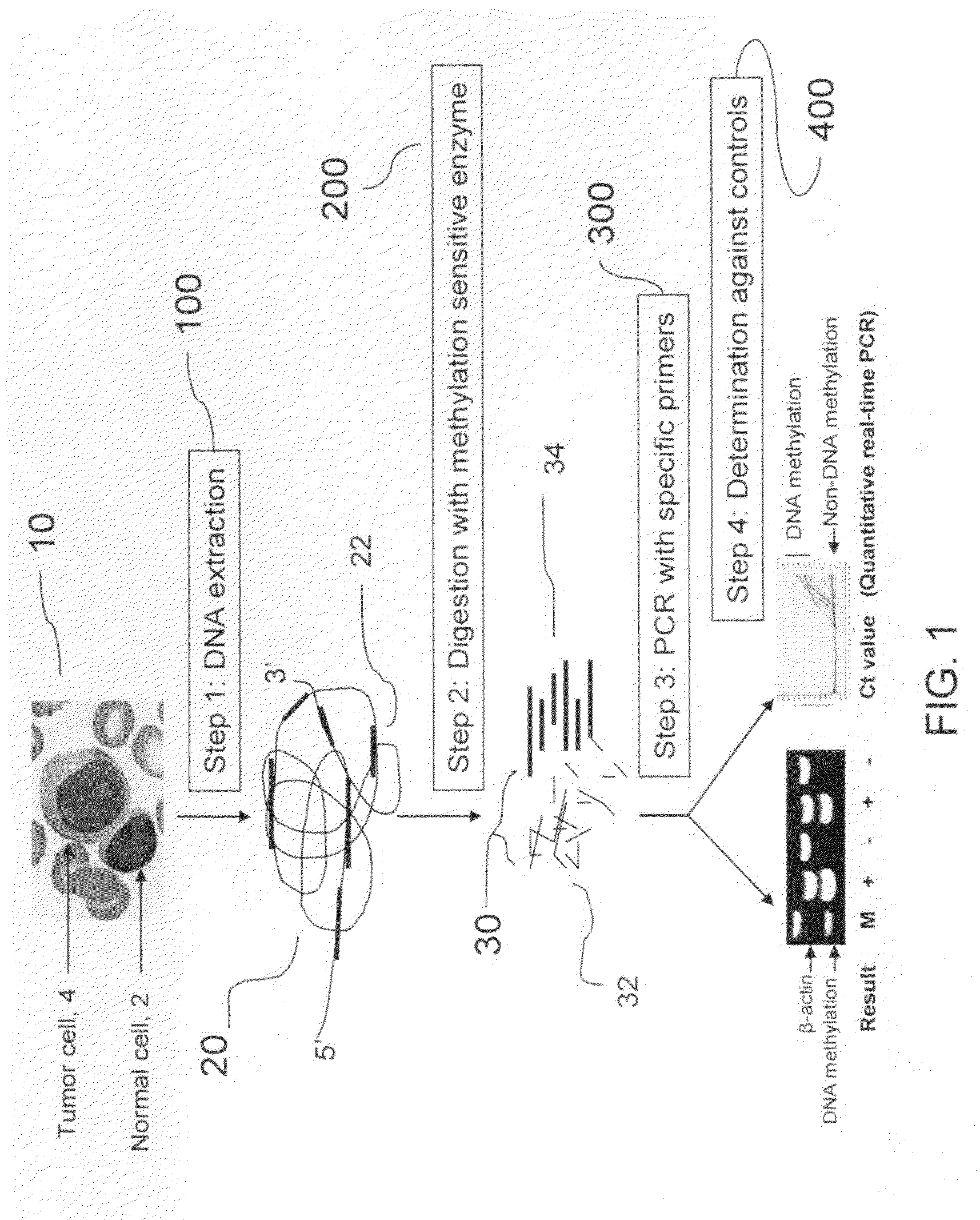 Method for detecting DNA methylation in cancer cells