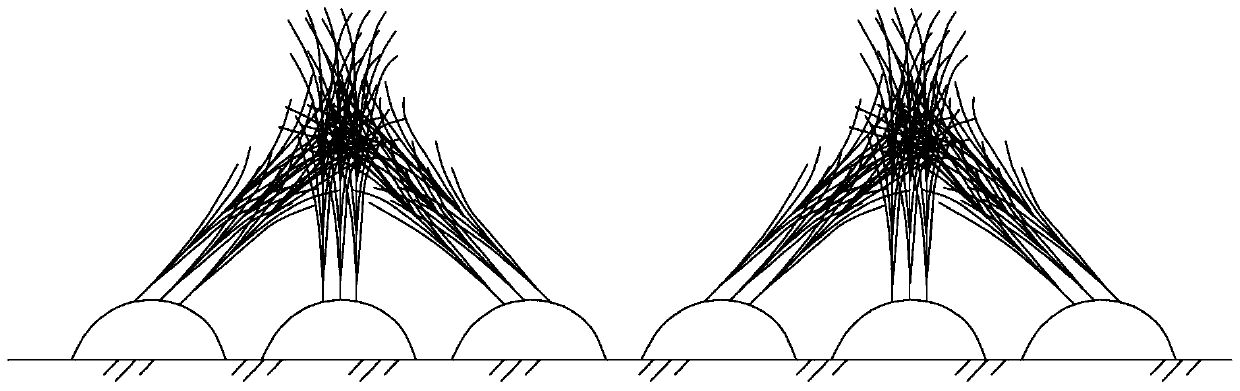 Planting Method of Sugarcane with Opposite Tilt and Lodging Resistance