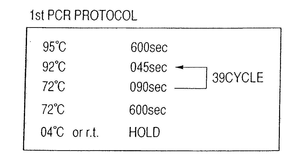 Probe, probe set, probe-immobilized carrier, and genetic testing method