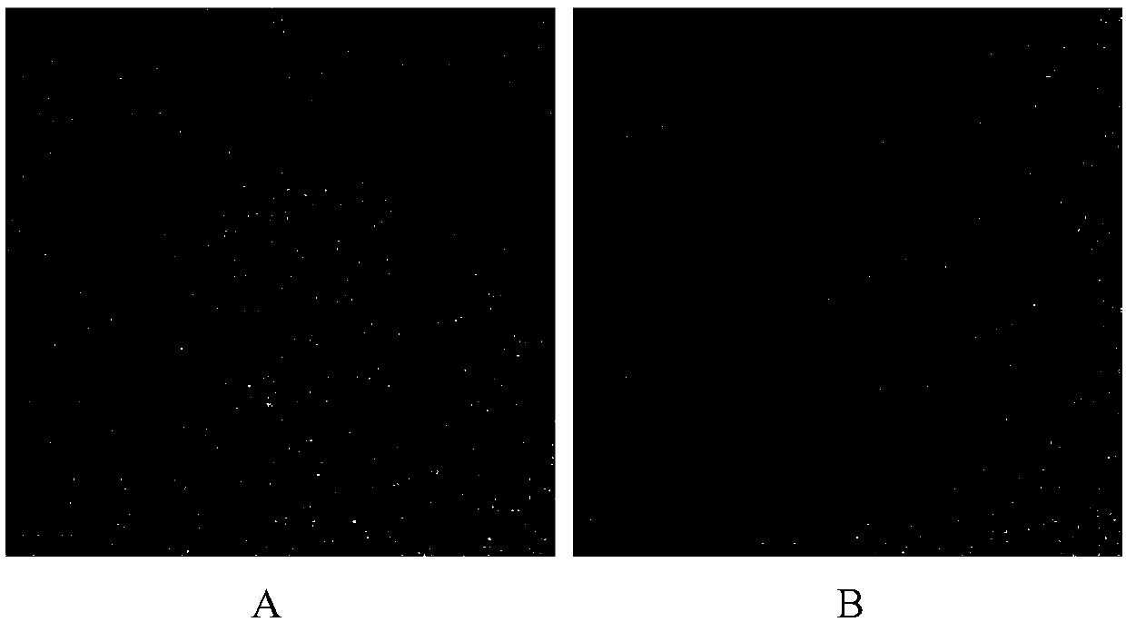 Copper nano-cluster fluorescent material and preparation method thereof