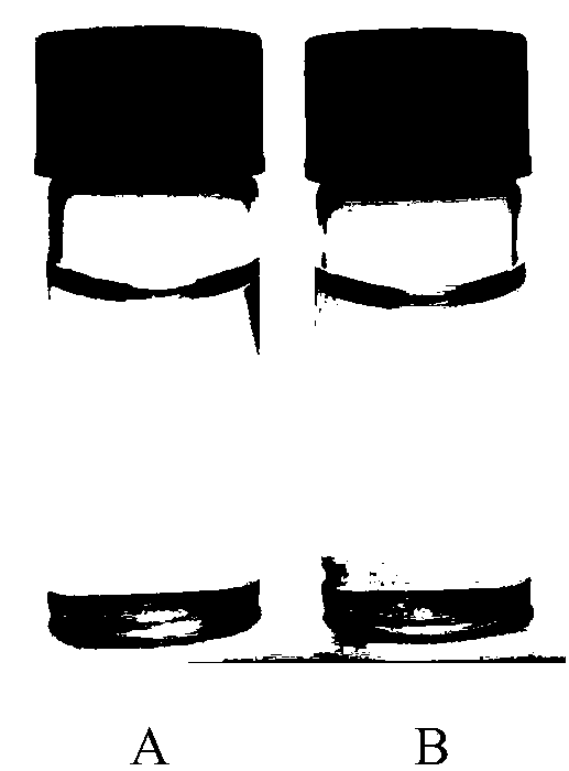 Copper nano-cluster fluorescent material and preparation method thereof