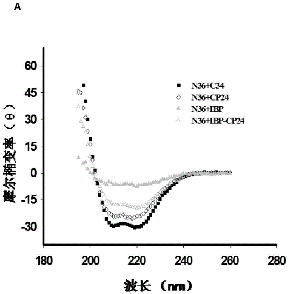 Long-acting HIV fusion inhibitor and application thereof