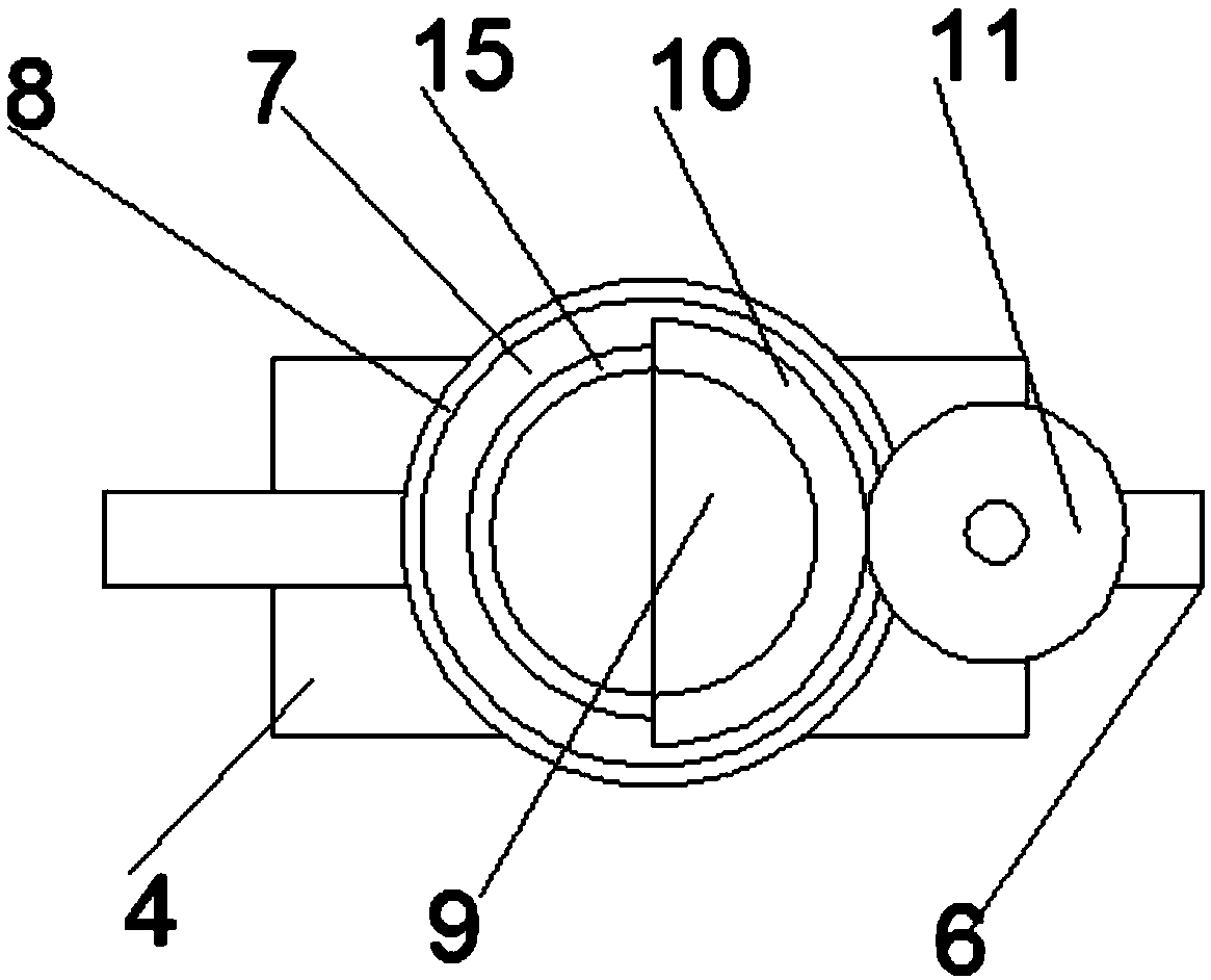 Planting method for blueberry plants