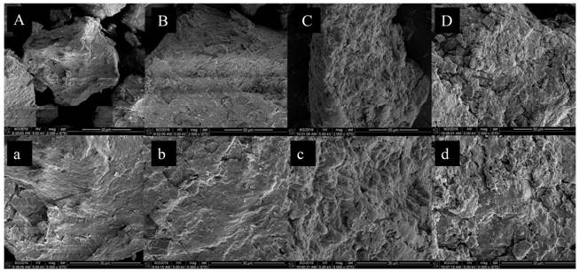 Lotus seed resistant starch with high bifidobacterium breve adhesion rate and preparation method and application thereof