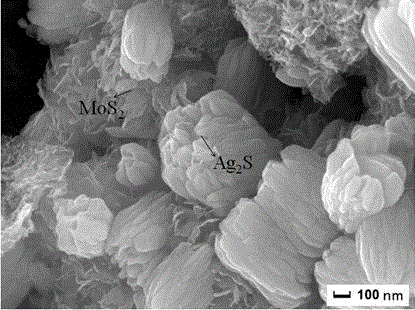 Preparation method of MoS2 / Ag2S nano-composite photocatalytic material