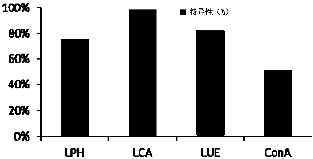 Lateral Flow Chromatography System for Quantitative Detection of Alpha-fetoprotein Heterosomes