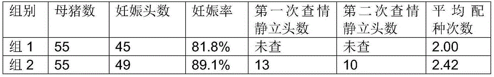 Efficient heat detection and synchronous fertilization method of replacement gilts and multiparous sows