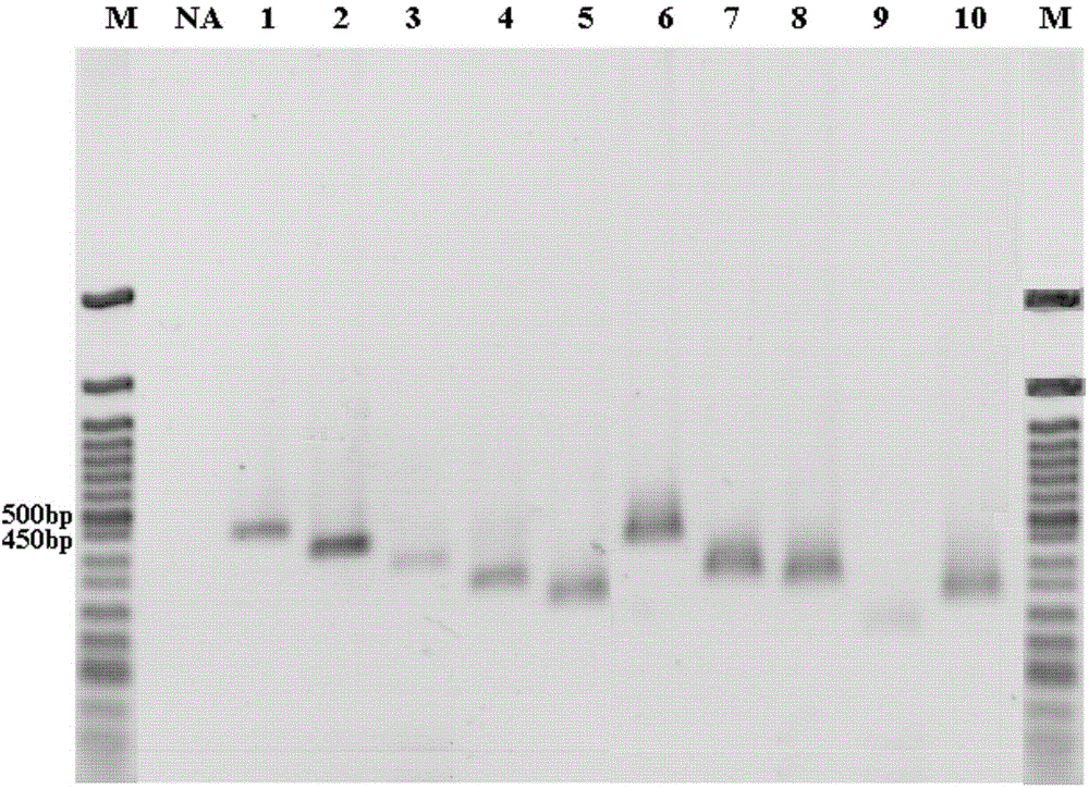 Saliva preservation solution, preparation method and uses thereof