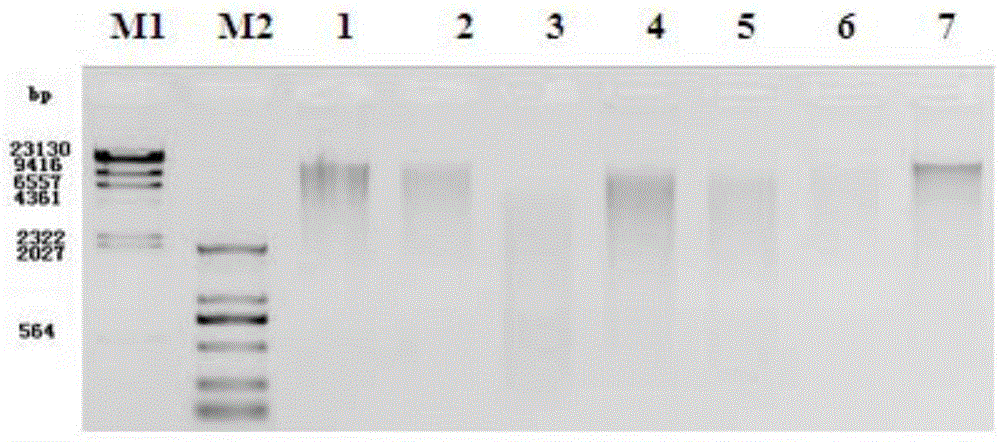 Saliva preservation solution, preparation method and uses thereof