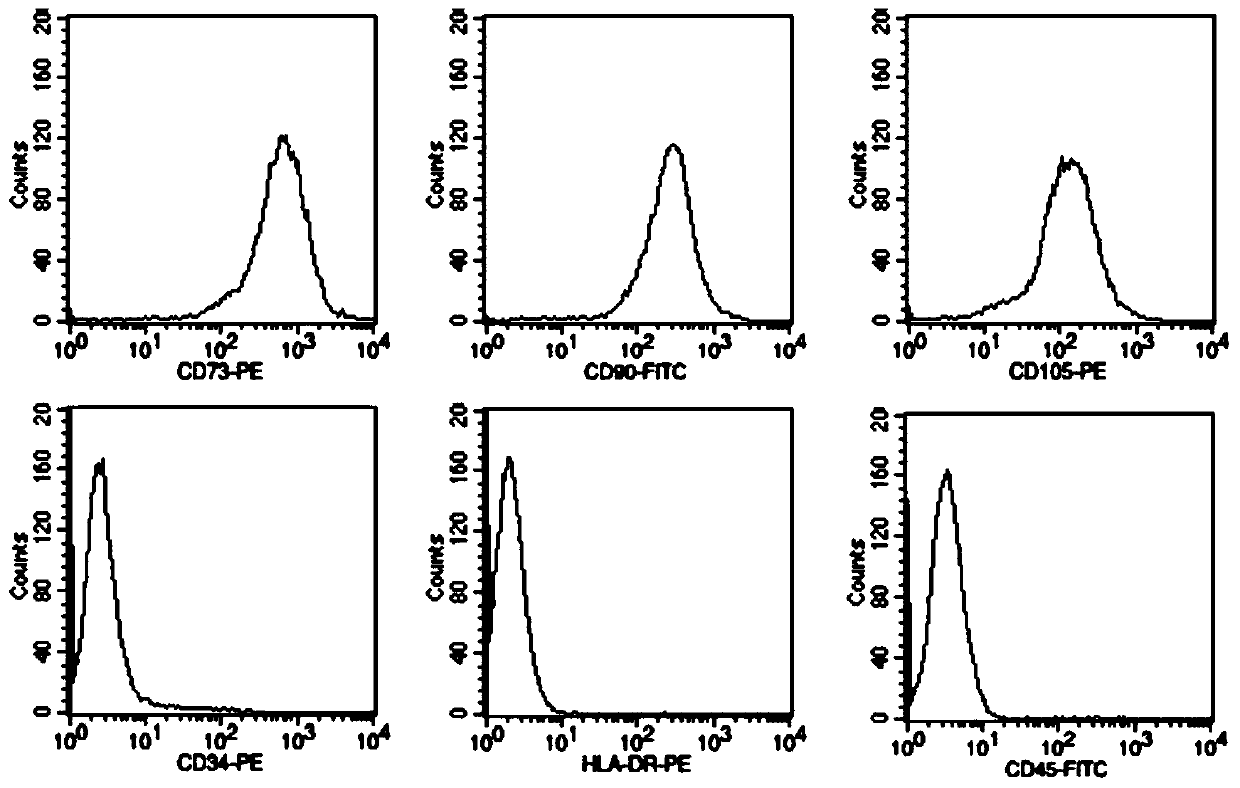 Induction composition of human mesenchymal stem cells, induction differentiation culture liquid and in-vitro induction method and application